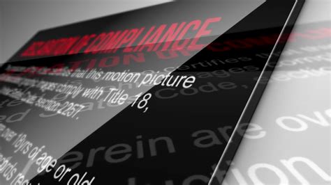 Big Tits N Tail Porntrex Best HD And 4k Porn V