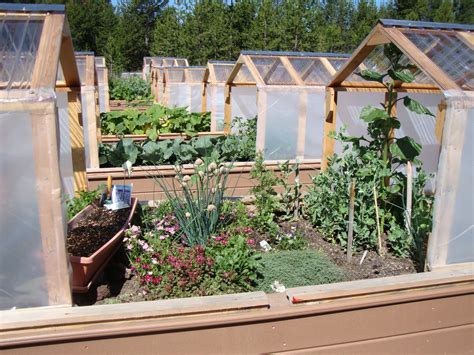 Парники для томатов своими руками (45 фото) - фото - картинки и рисунки ...