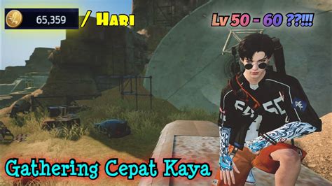 Tips Kaya Dari Farming Level Apakah Bisa Sampai Level