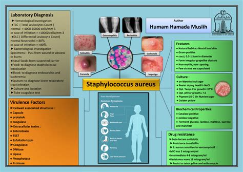 Pdf Staphylococcus Aureus Poster