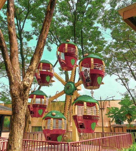Tak Bikin Anak Bosan 7 Tempat Wisata Outdoor Di Sentul Wajib Masuk
