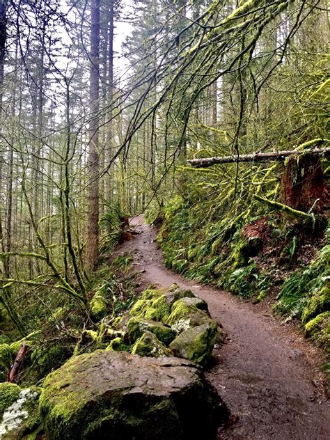 Rattlesnake Ridge | 10 Places to Hike in Washington State #jjadventures