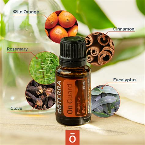 On Guard Oil Blend | doTERRA Essential Oils