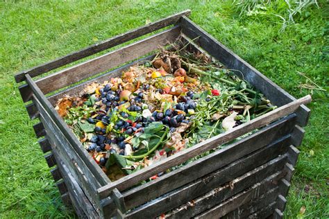 Composting 101 How To Start Your First Compost Pile Lawnstarter