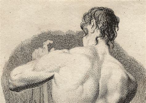 Classical Male Nude Th Century Engraving By Johann Friedrich Bolt Village Antiques