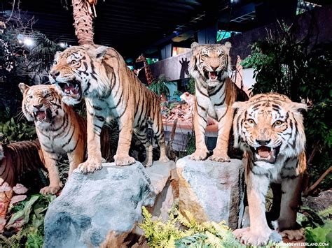 NaturalHistoryMuseumGeneva8 – Touring Switzerland