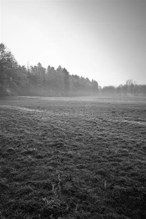 Beautiful Winter Scenery With Fog Forest Nude Trees And Frozen Field Background Stock Image