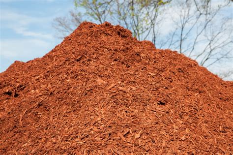 Types Of Mulch | Types Of