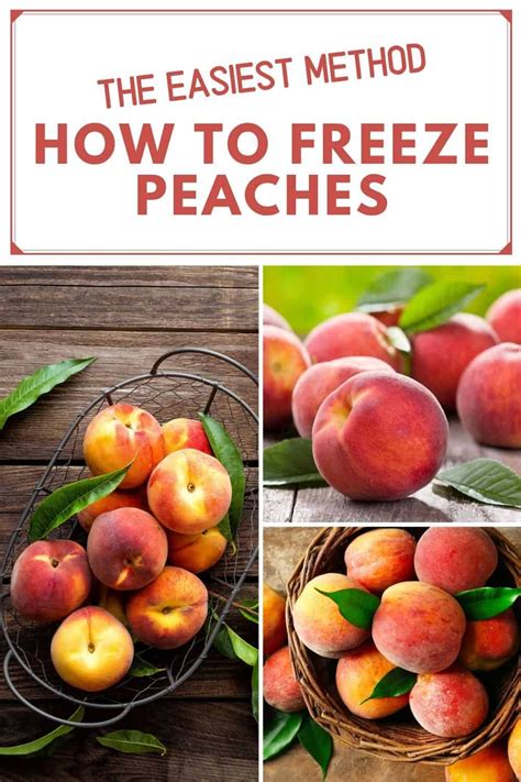 freeze peaches  easiest method recipe peach freezing