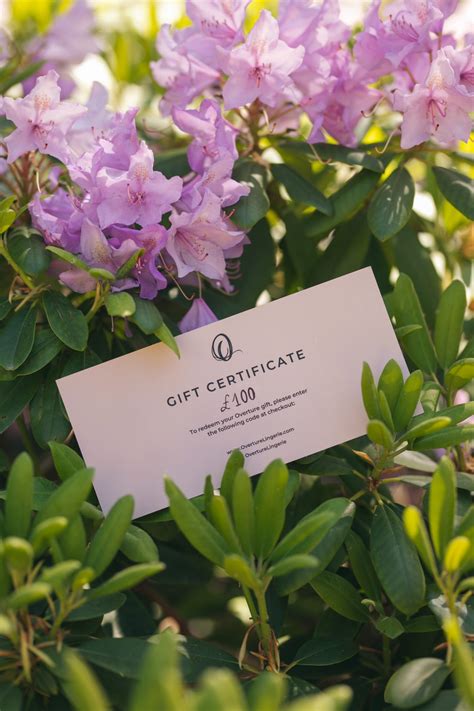 Lingerie Gifts Overture Gift Vouchers For Any Occasion