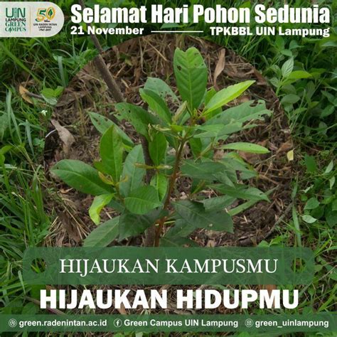hari pohon sedunia menurut generasi milenial green campus uin raden