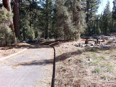 Bootleg Campground Coleville California Ca