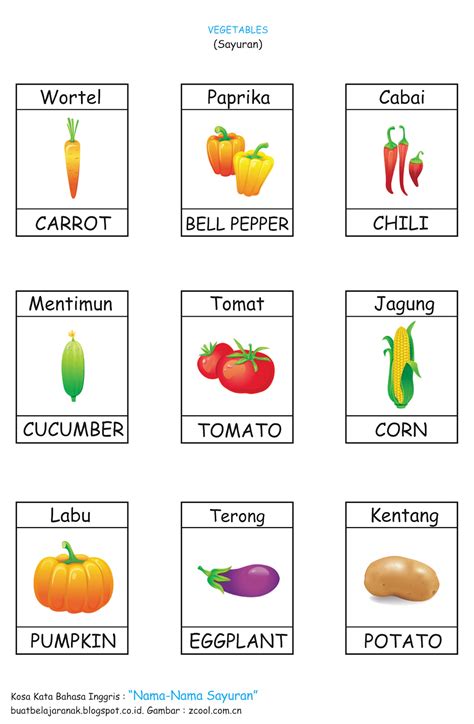 kosa kata nama nama sayuran  bahasa inggris siap ujian