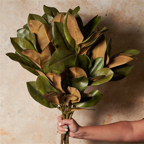 Magnolia Leaves Arrangements Artificial Magnolia With Leaves, 38,5''