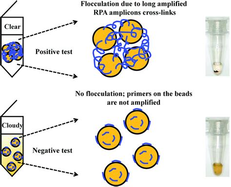 Review: a comprehensive summary of a decade development of the ...