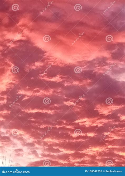 Aesthetic pink sky stock image. Image of pink, evening - 168049255