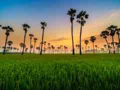 Best Sex Addiction Rehab Centers Of With Pricing