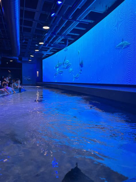 Experience the Audubon Aquarium and Insectarium | Explore Louisiana