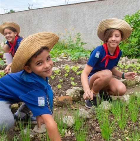 Seis Pa Ses De Am Rica Latina Y El Caribe Concluyen Primera Fase Del An Lisis De Avances De Los