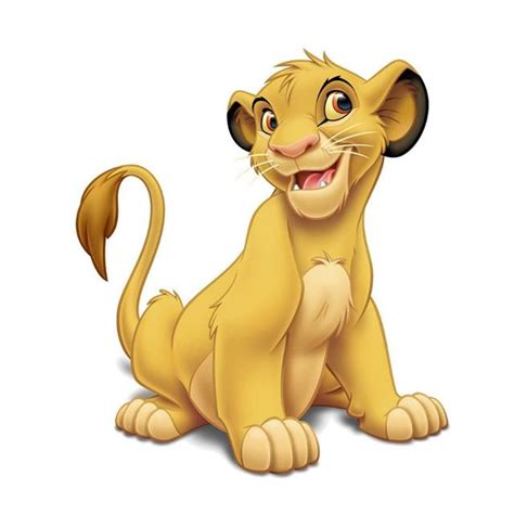 "Simba" - контакти, товари, послуги, ціни