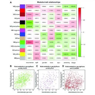 Identification Of Modules Associated With The Clinical Features Of