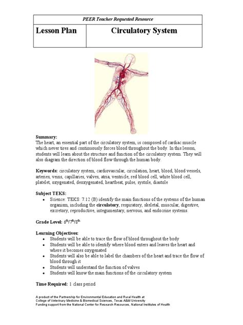 Circulatory System Lesson Plan Pdf Circulatory System Heart