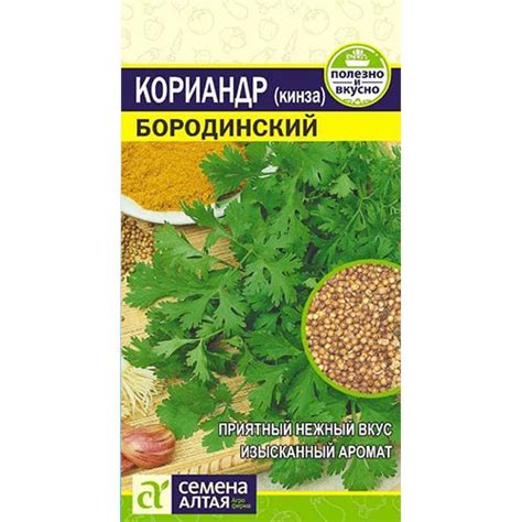 Кориандр Бородинский Семена Алтая (81497): купить семена почтой в ...