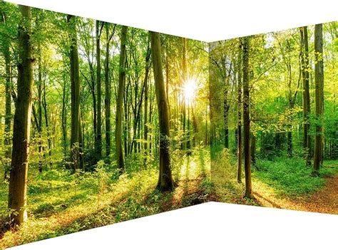 Decomonkey Papier Peint Intiss Revetement Panoramique Mural Foret