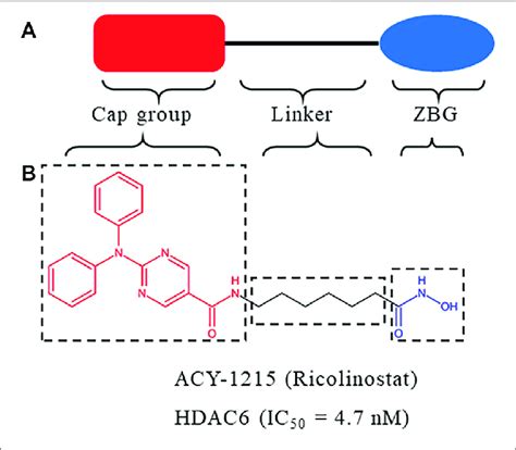 A Structure Of HDACs Inhibitor B Structure Of ACY 1215