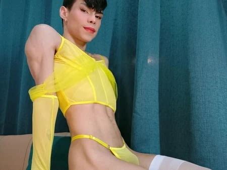 Shemale POV Porn Videos Virtual Tranny Sex XHamster