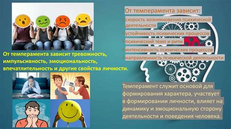 Темперамент и его виды - презентация онлайн