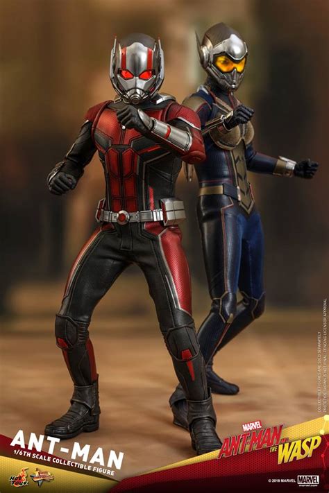 Hot Toys蟻俠2黃蜂女現身蟻俠Ant Man 1 6比例珍藏人偶登場 Toys Zone D 玩具兄弟 Figures Price List Reviews