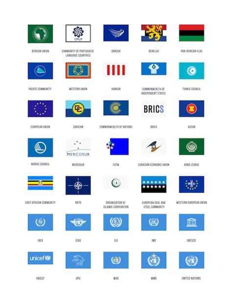 Premium Vector A Collection Of Vector Organizations Flags