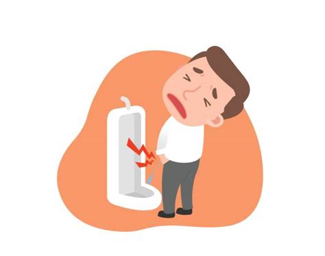 urinary tract infection clip art vector images illustrations istock