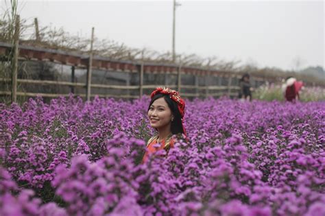 Tết Dương lịch hot girl đổ xô đi chụp ảnh tại vườn hoa Nhật Tân