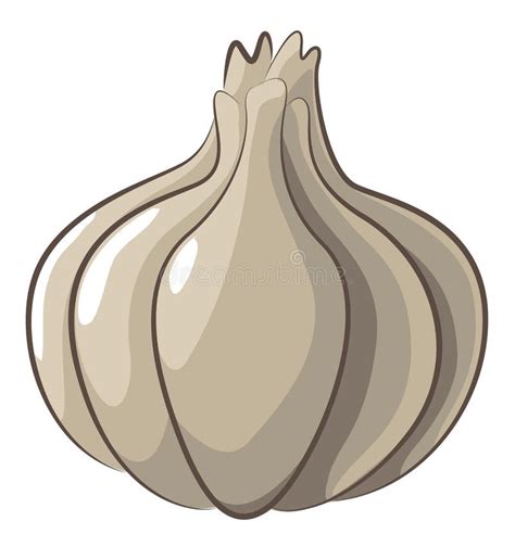 cartoon garlic stock illustration illustration  organic