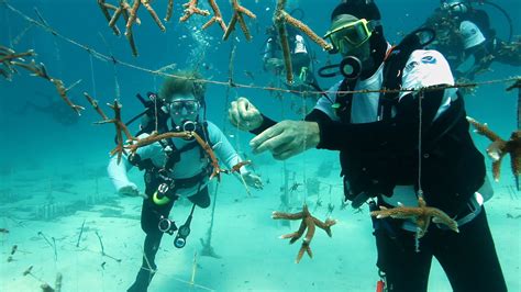 Florida Keys National Marine Sanctuary