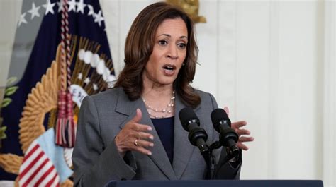 Harris Holds Slight Leads In 5 Battleground State Surveys