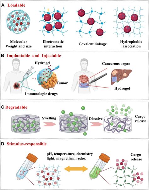 Hydrogel Drug Delivery System