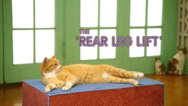 6 Cosas Que Tu Vagina Quiere Que Sepas