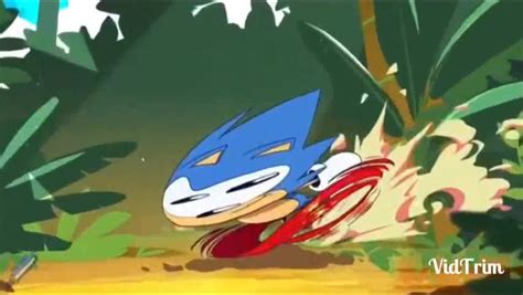 How Is Everyone Else So Fast? | Sonic the Hedgehog! Amino