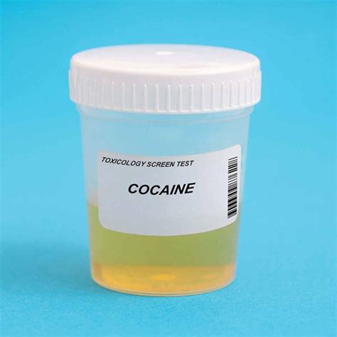 Test De Drogas Cocaina Orina Analisis365 Compra Tu Test Al Mejor