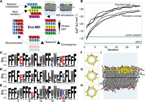 Physics Based Generative Model Of Curvature Sensing Peptides