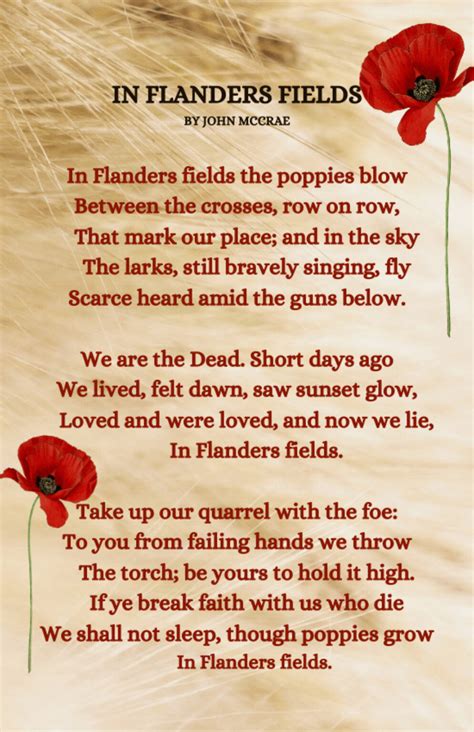 Poppy Flower Meaning And Symbolism Symbol Sage