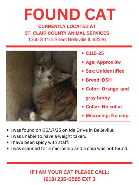 New rehabilitation programs will soon start at st clair il jail 3