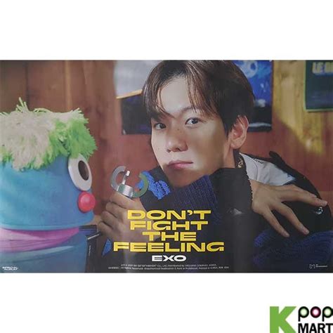 Poster EXO Special Album DONT FIGHT THE FEELING BAEKHYUN N4