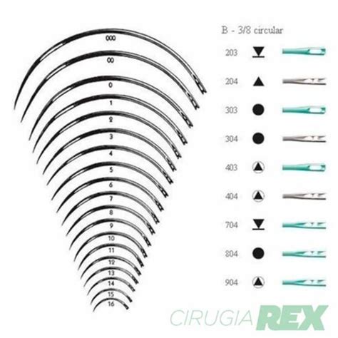 Aguja De Sutura Curva B X Unidades Cirug A Rex