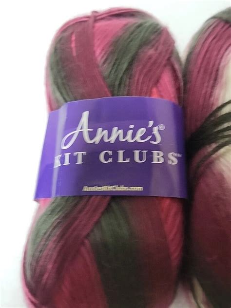 Annies Hook And Needle Kit Club Lot Of 3 Skeins Variegated Acrylic Sport