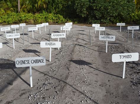 Corey Arnold Bikini 14 Corey Arnold Photographer