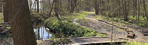 Startpunt Wandeling Uilenbos Lintsesteenweg